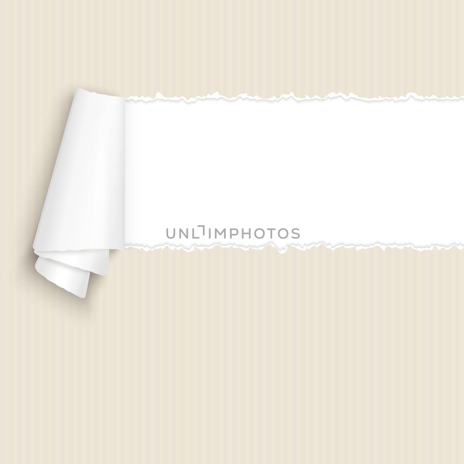 vector of ripped open paper brown cardboard
