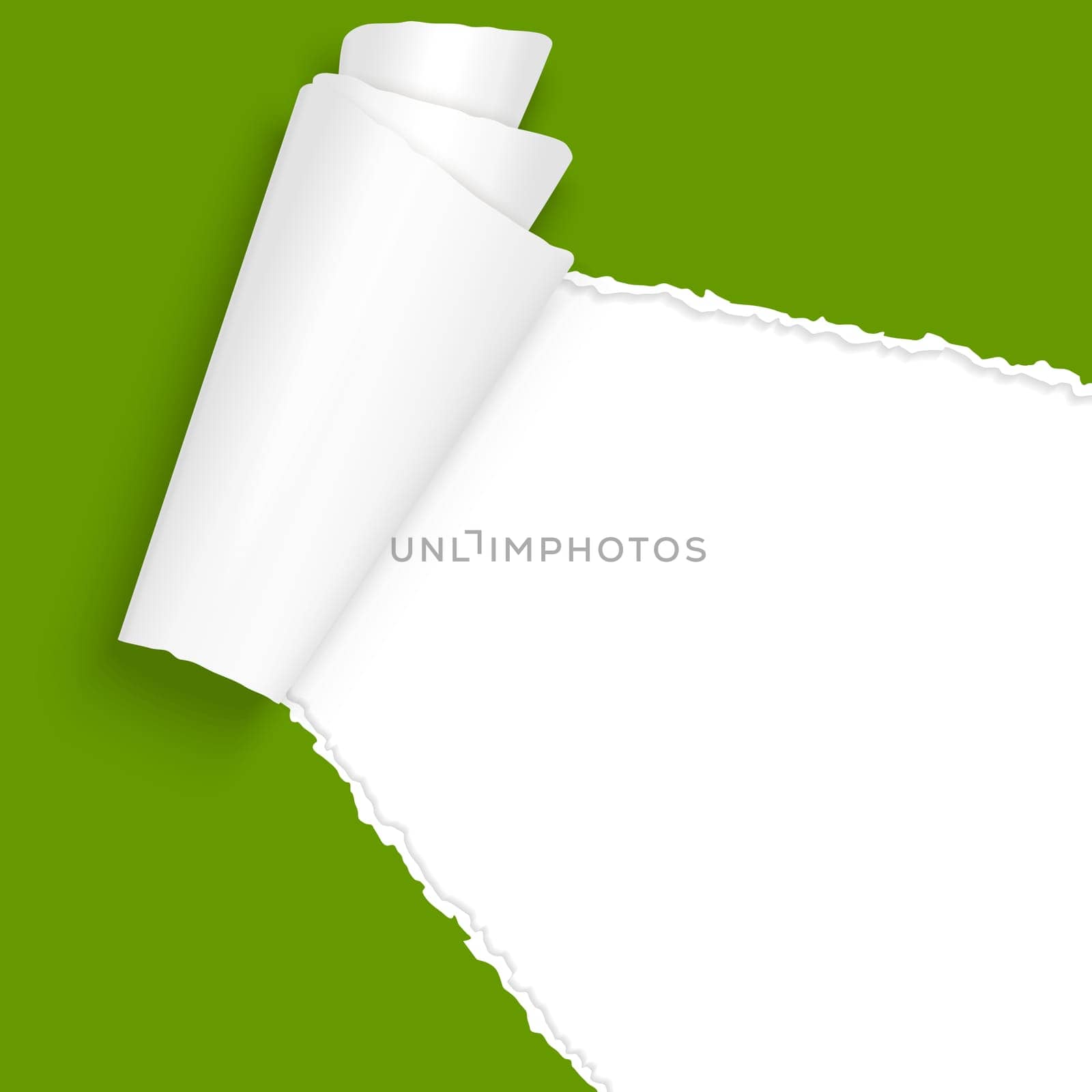 vector of ripped open paper colored green