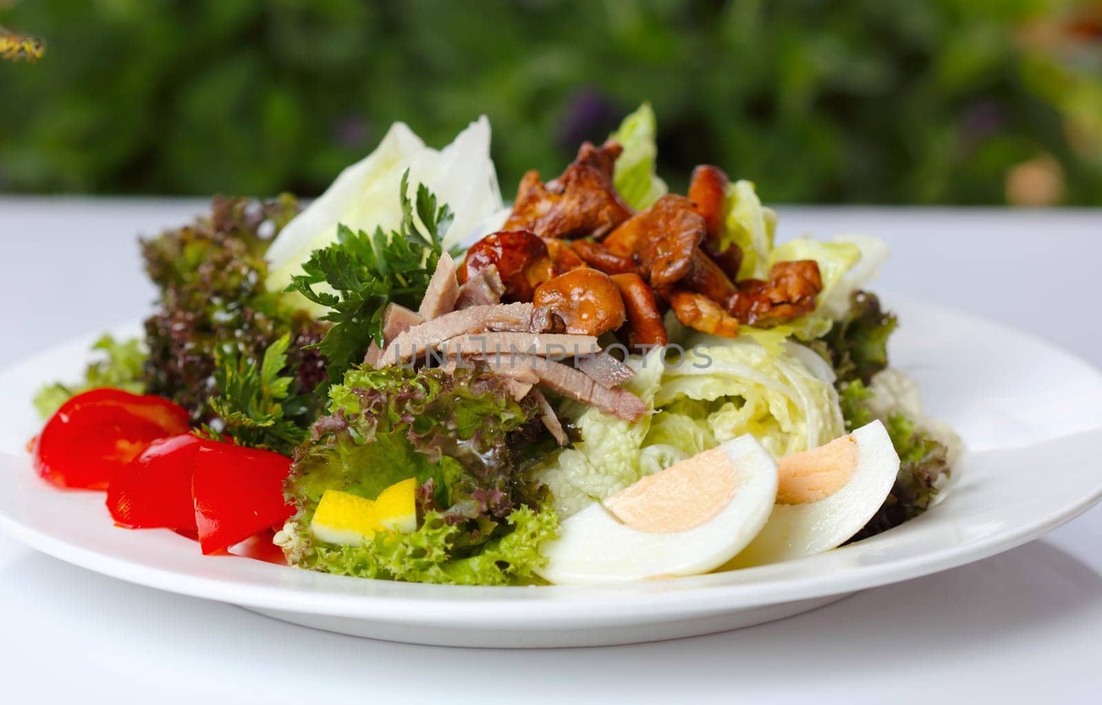 Delicious salad with greens and mushrooms (closeup, selective focus)