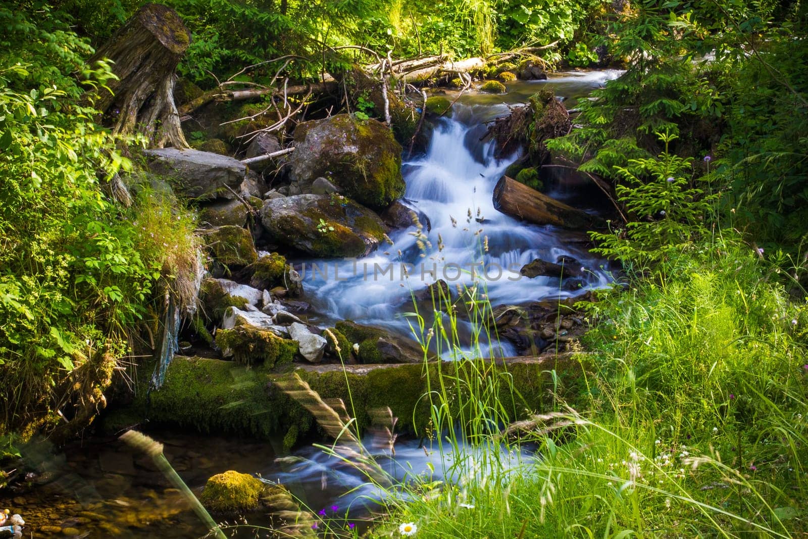 Beautiful waterfall landscape (Ukrainian Carpathian) in green forest