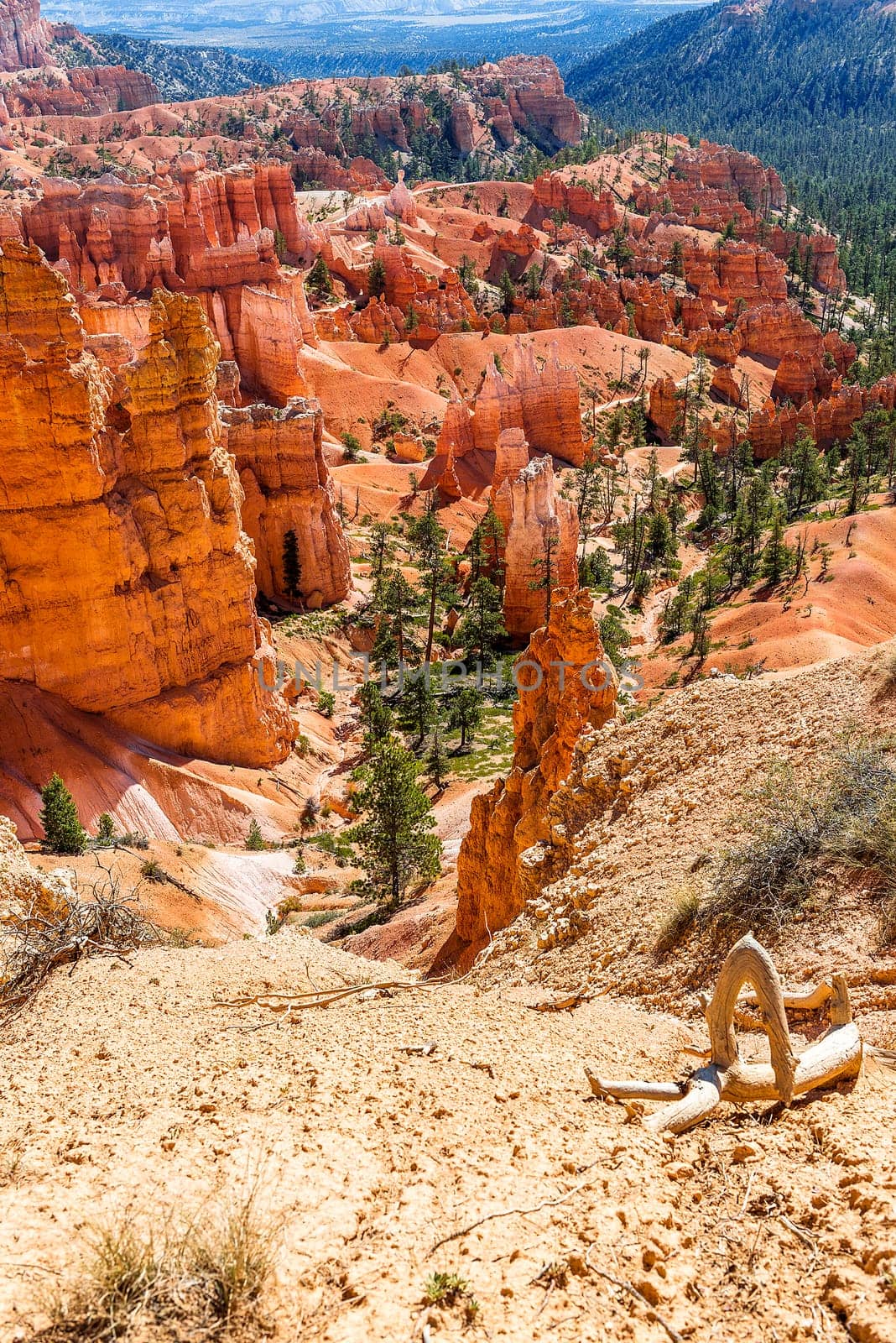 spectacular Hoodoo rock spires of Bryce Canyon, Utah, USA