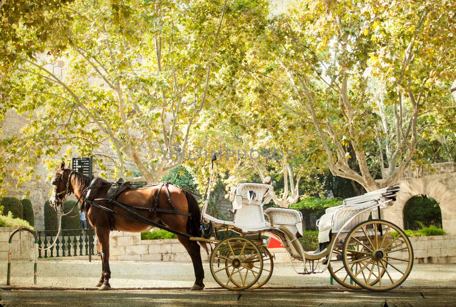 Tourist chariot in the old city of Palma de Mallorca