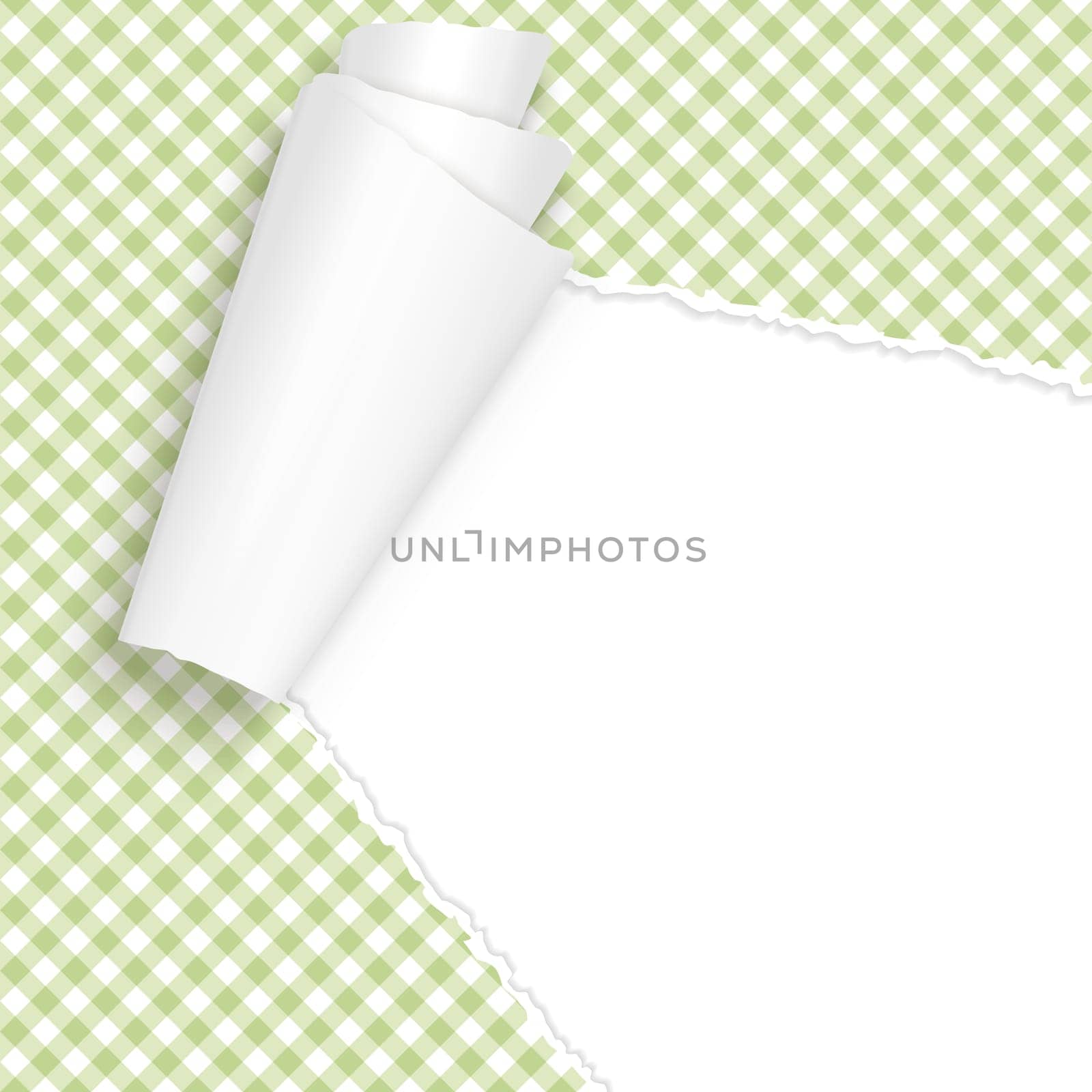 vector of ripped open paper checkered green