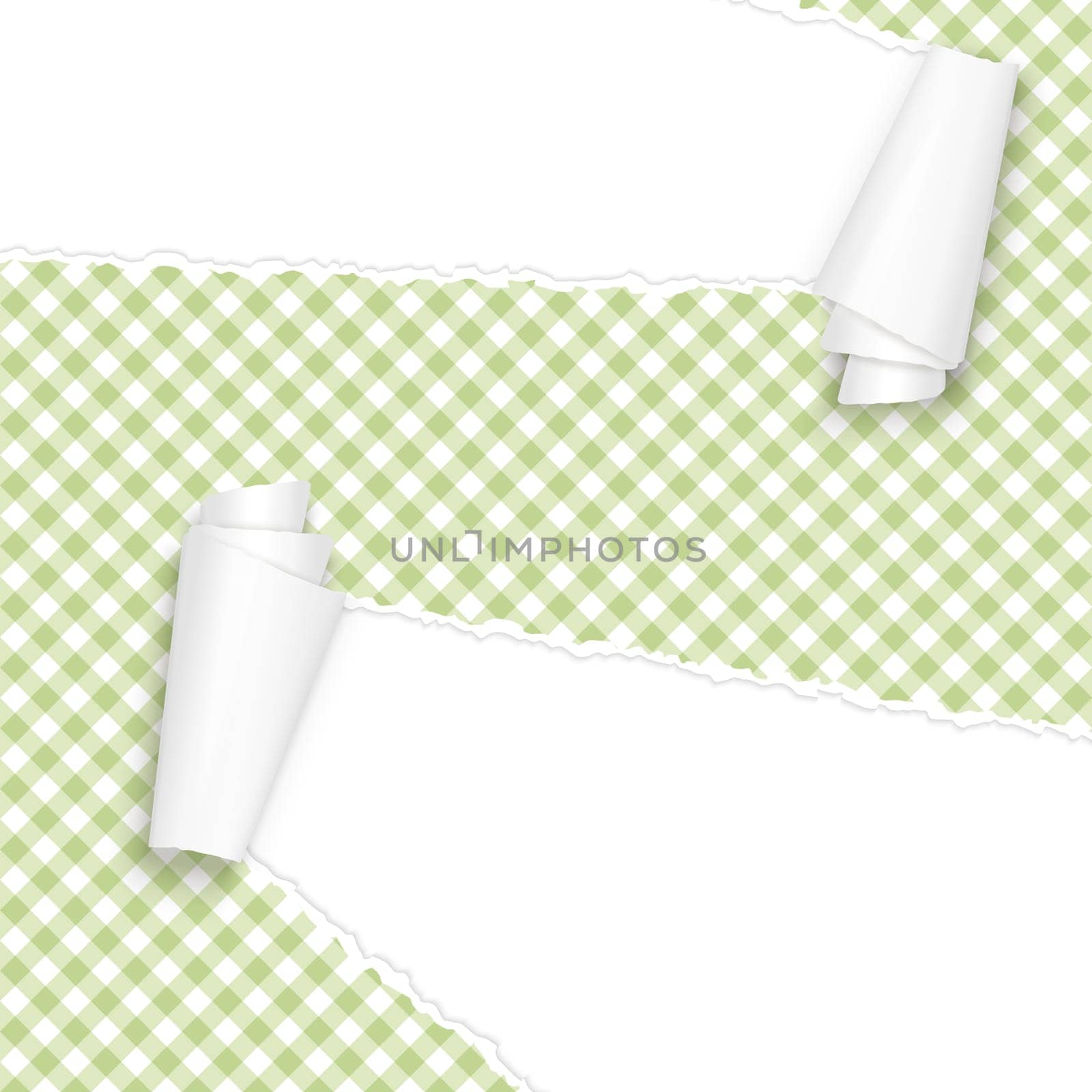 vector of ripped open paper checkered green