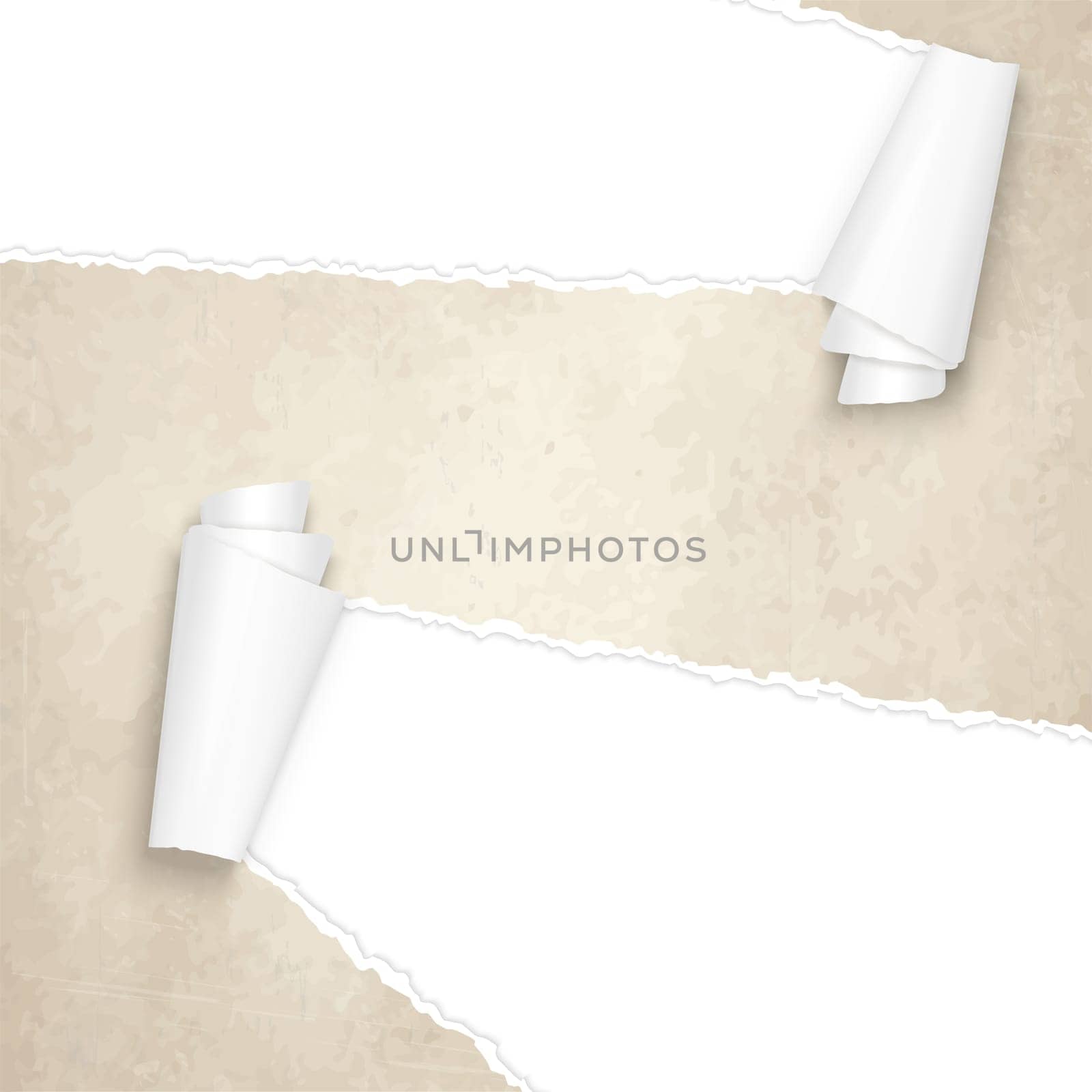 vector of ripped openold vintage paper