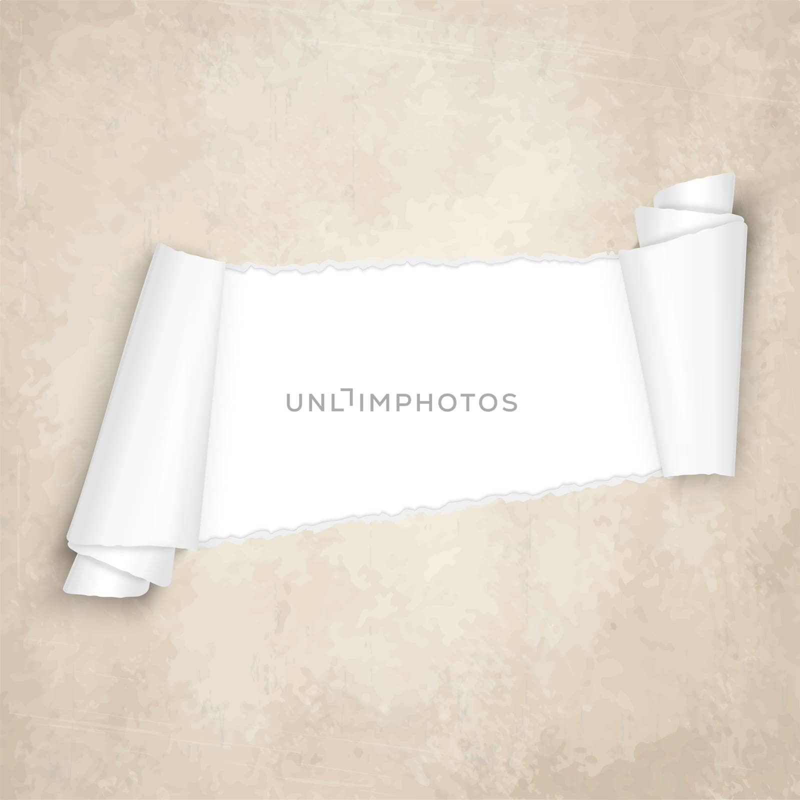vector of ripped openold vintage paper