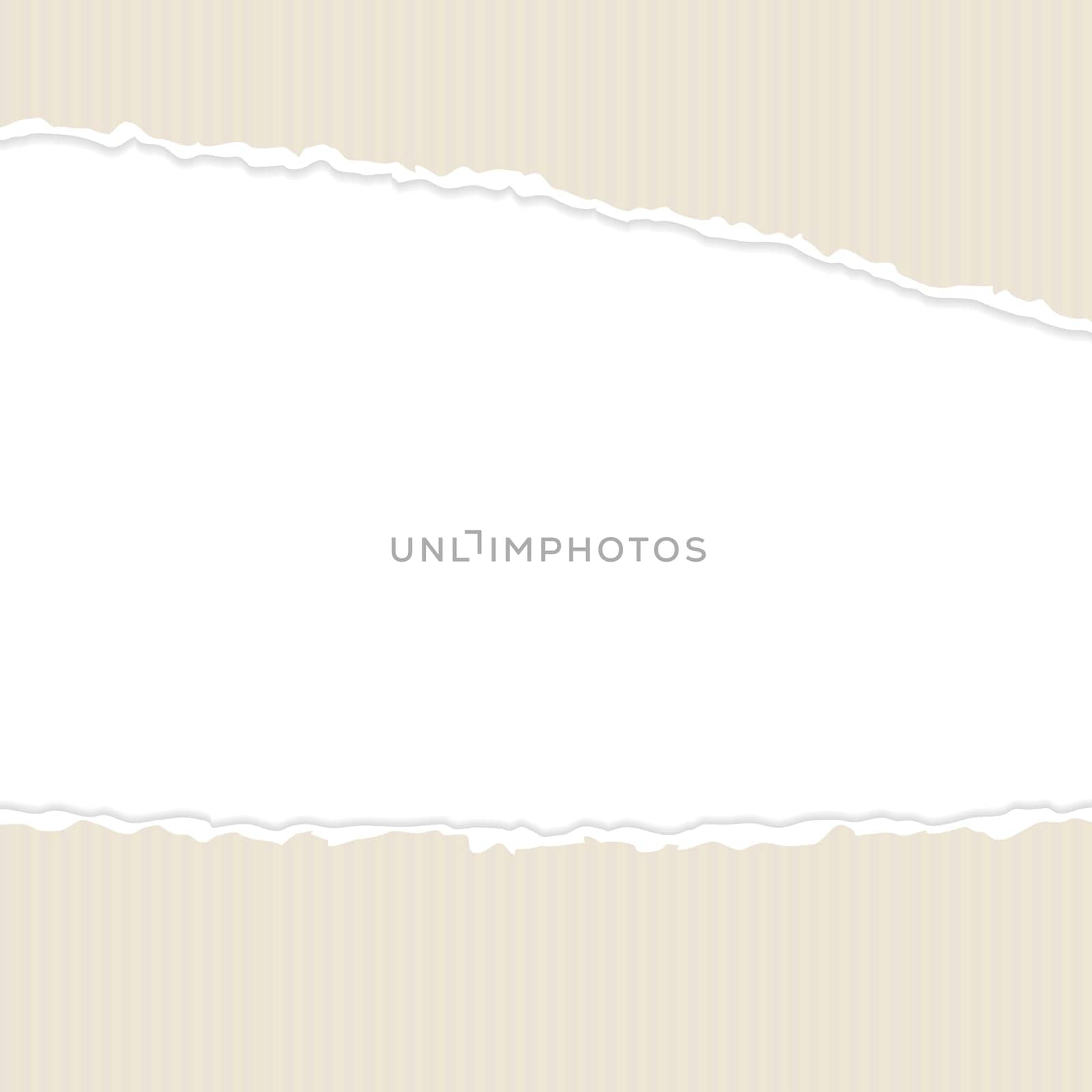 vector of ripped open paper brown cardboard