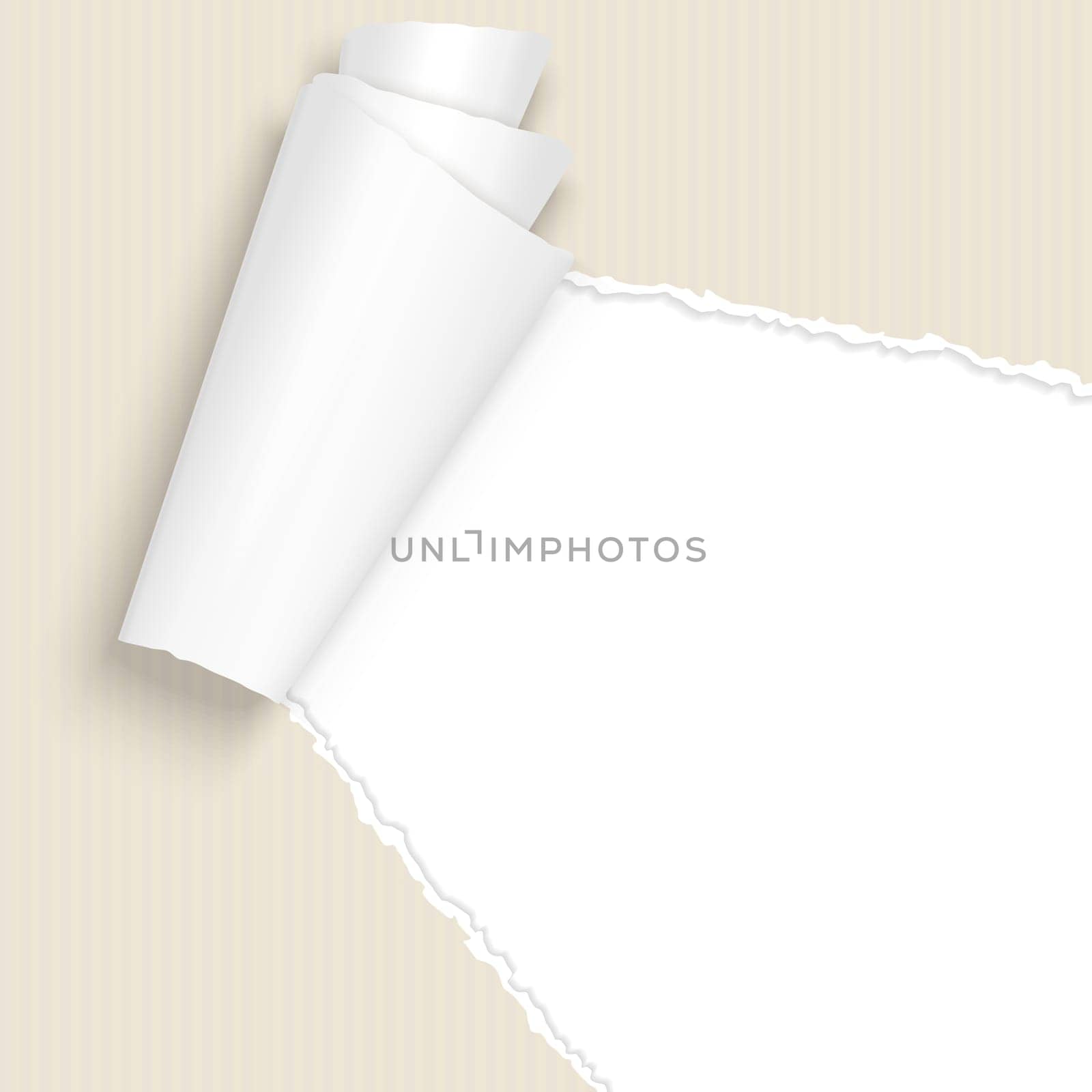 vector of ripped open paper brown cardboard