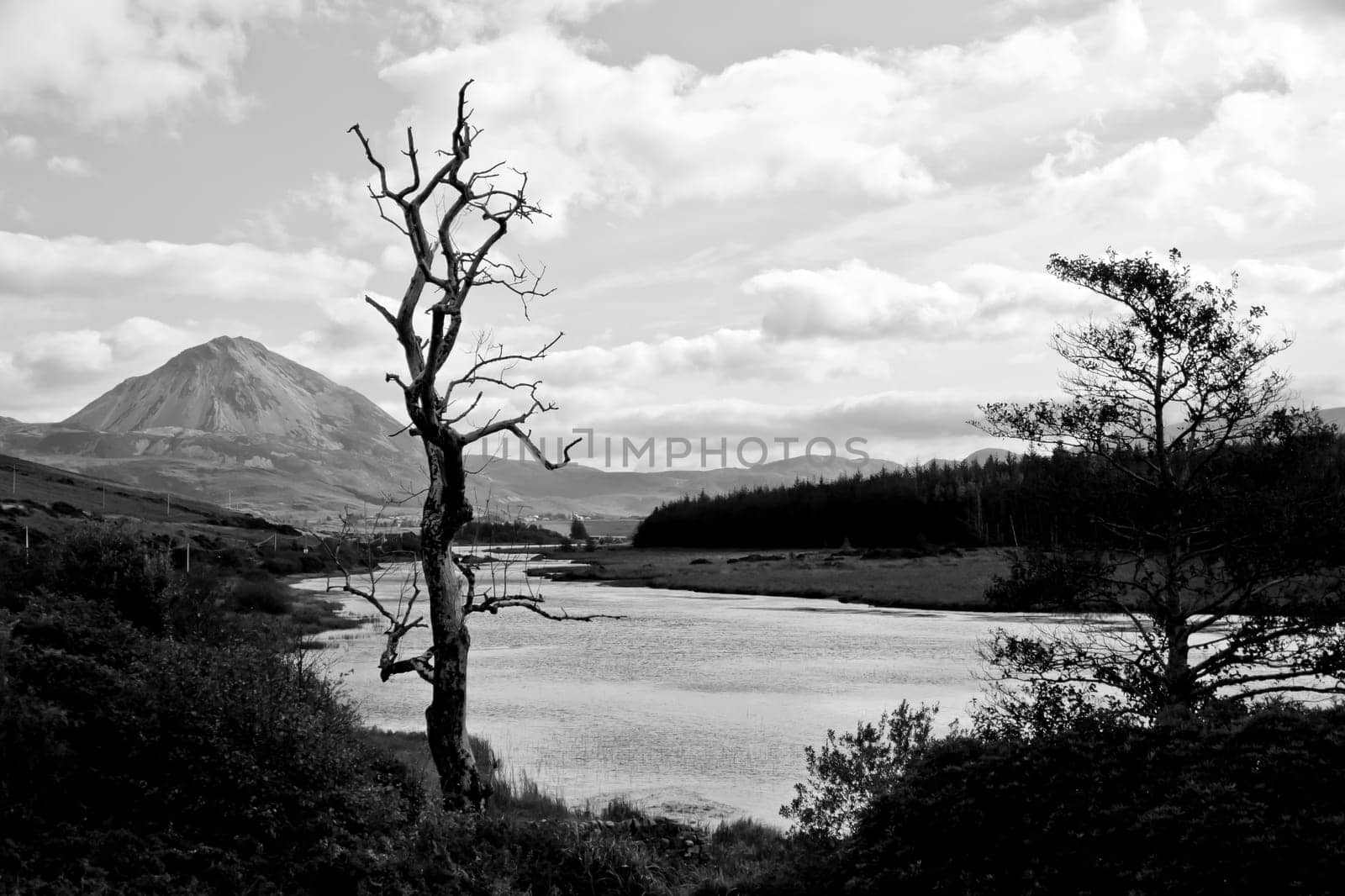 view of the Errigal mountains and countryside in county Donegal, Ireland in black and white