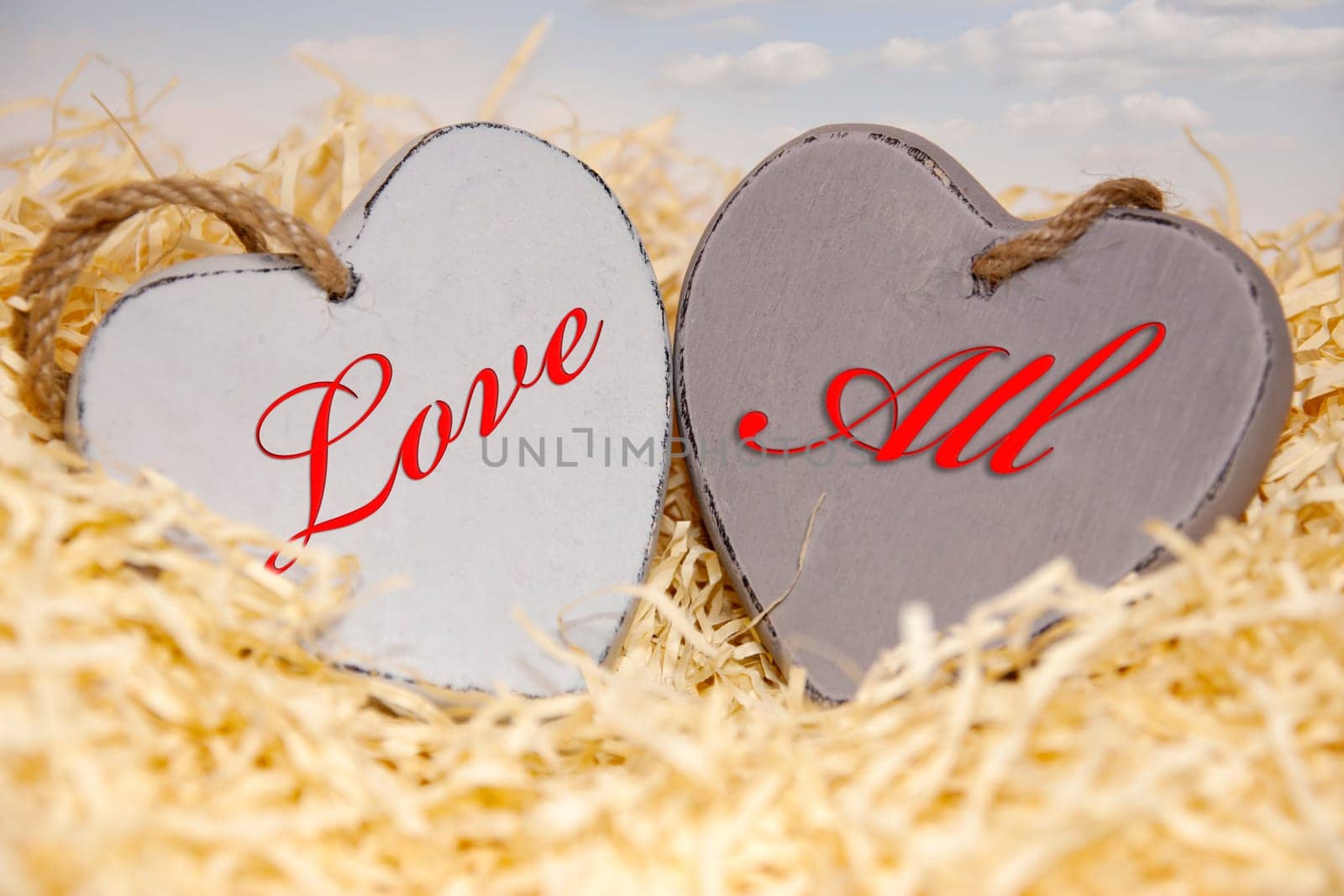 two wooden hearts in a love nest made of straw on a wooden background