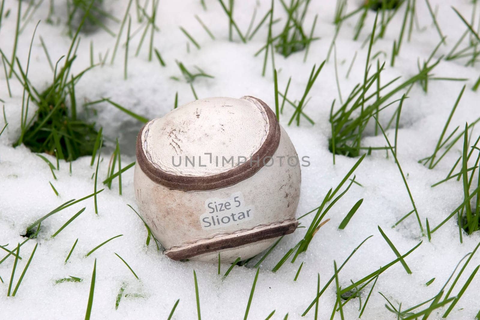a size 5 sliotar Irish leather hurling ball in snow covered grass