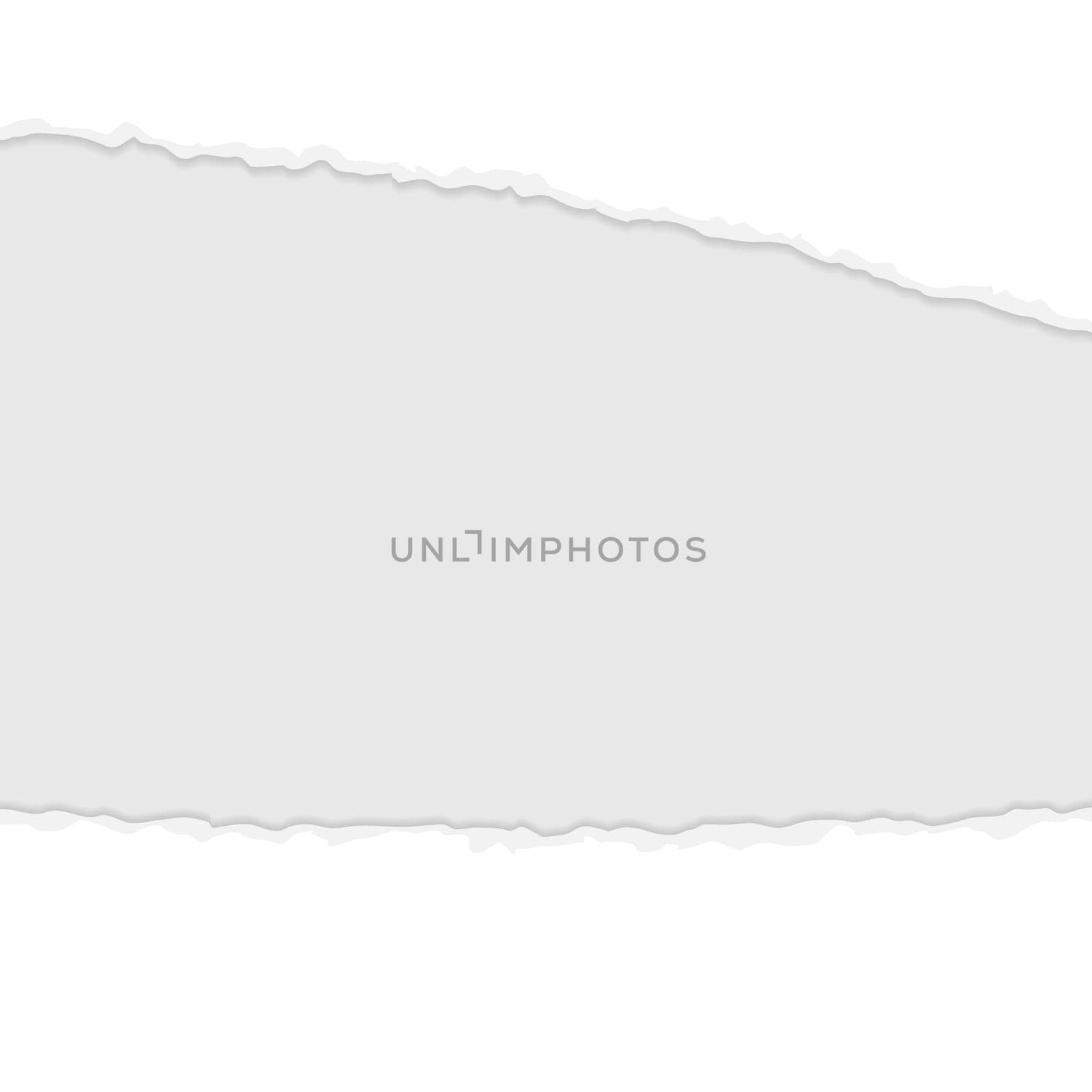 vector of ripped open paper colored white