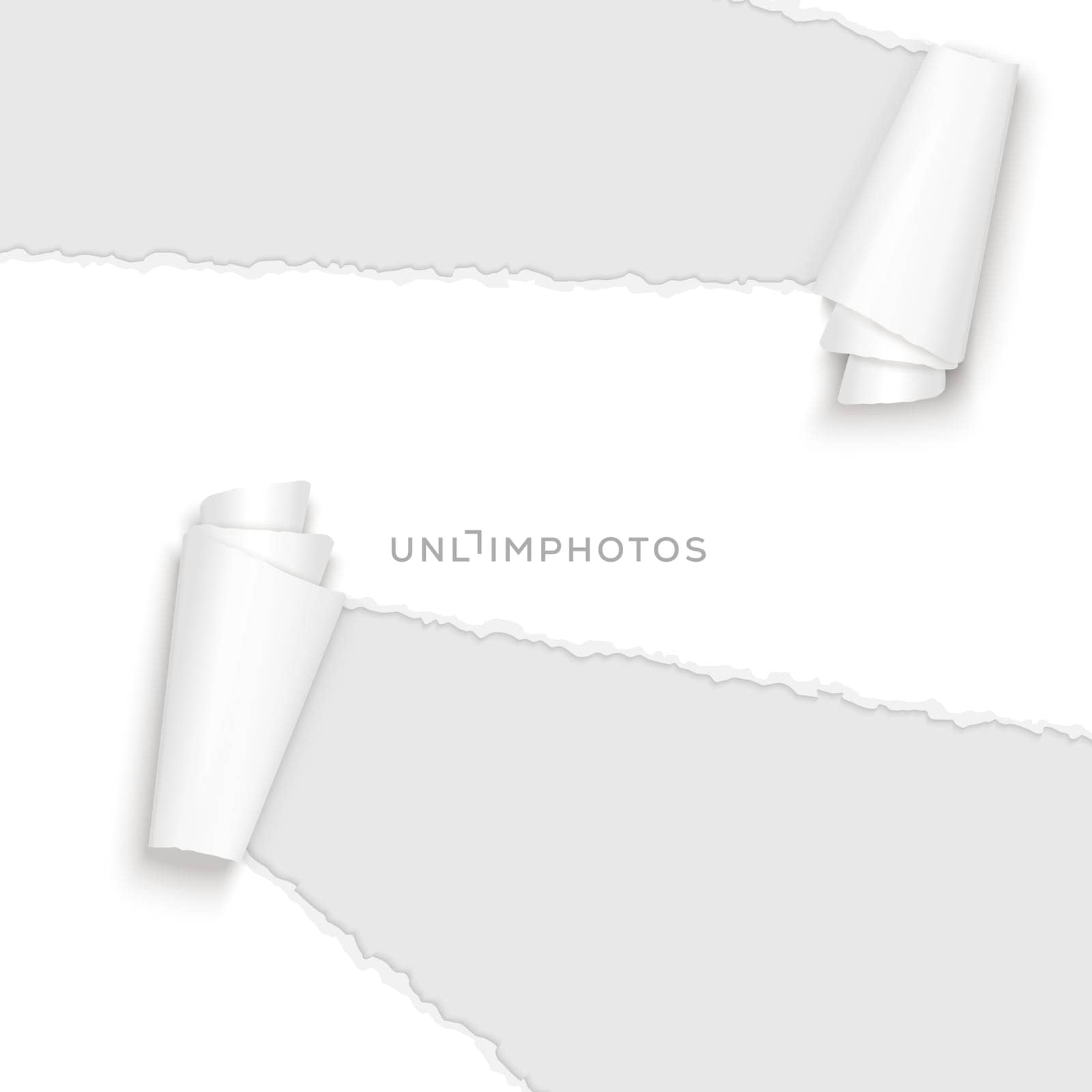 vector of ripped open paper colored white