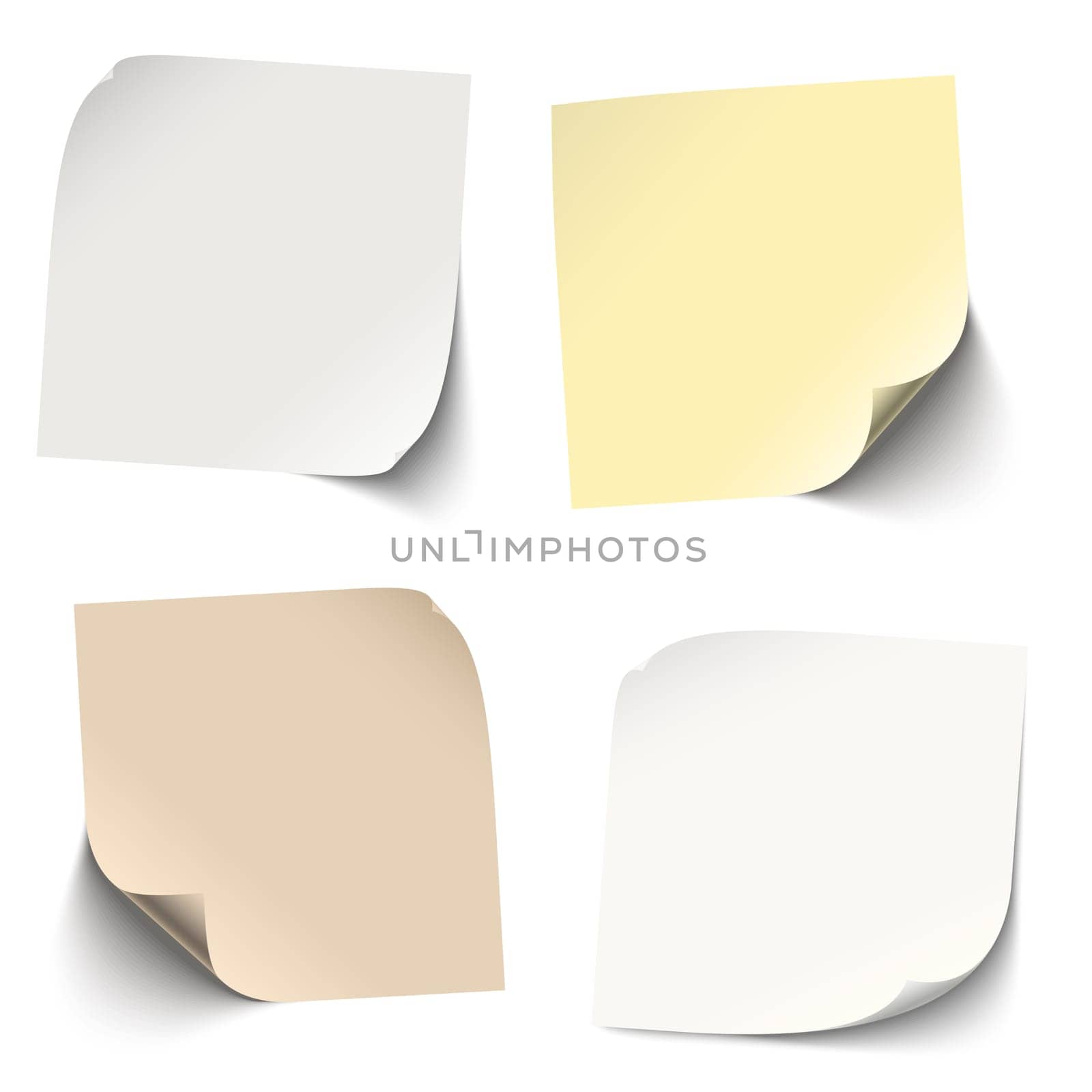 Collection - colored note / note blank