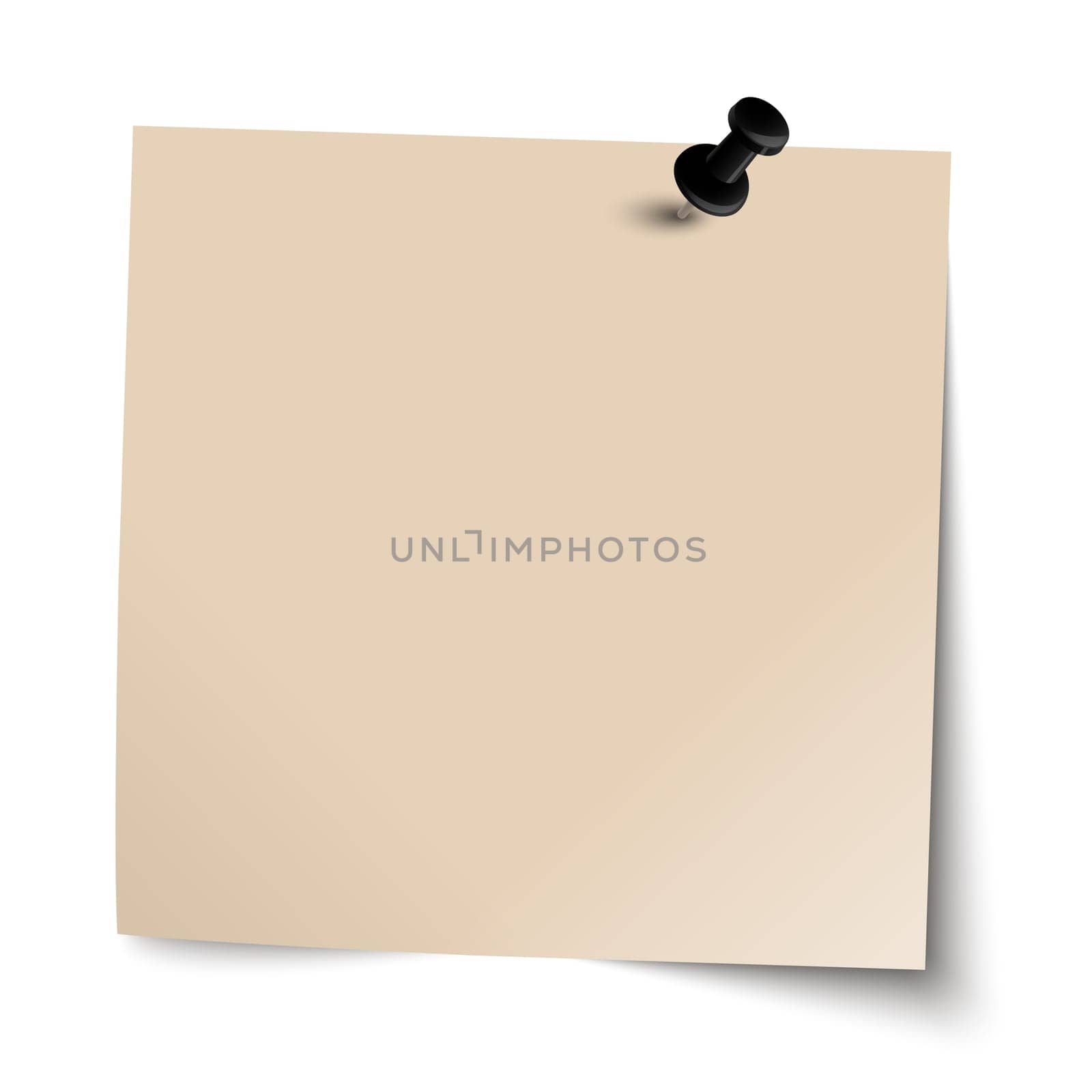 Note / Note with Pin