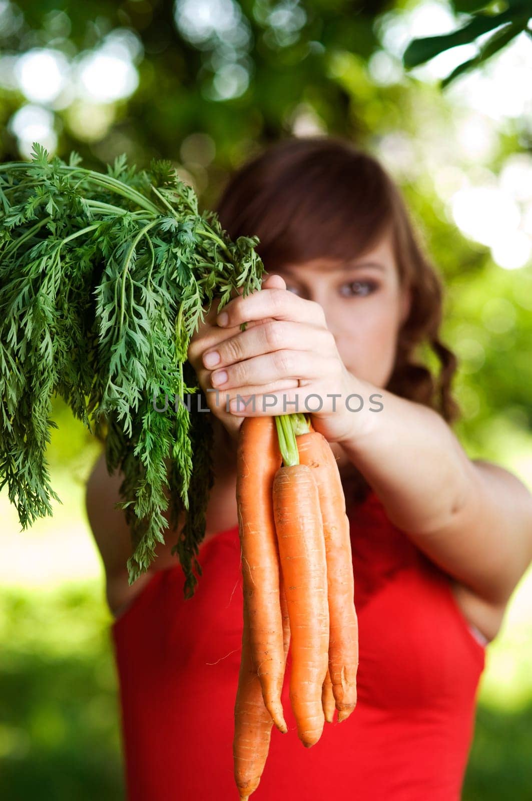 Carrots in hands