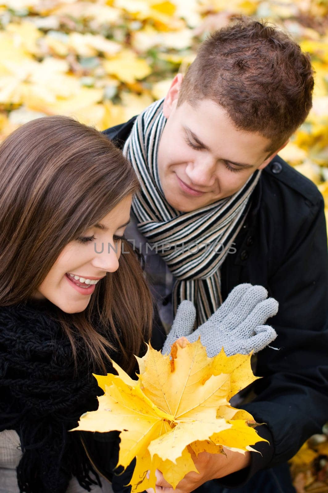 Leaf gift