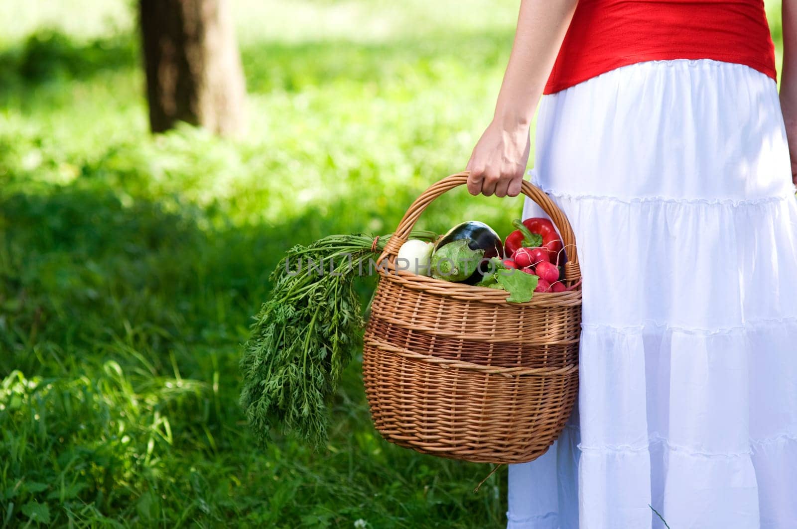 Basket filled fresh vegetables