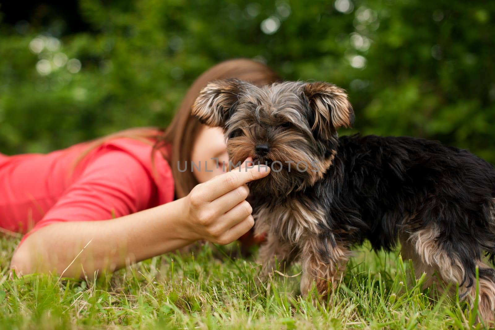 Woman feeding puppy