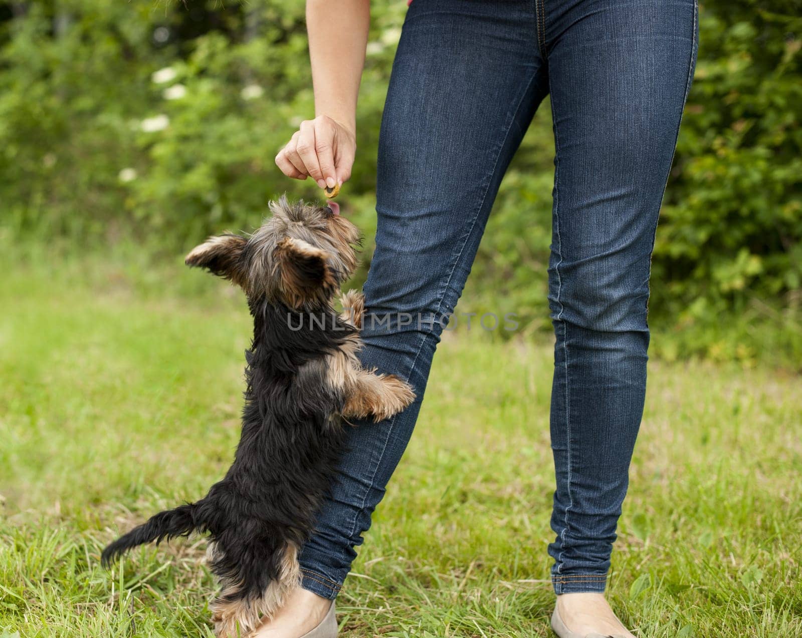 Woman feeding puppy
