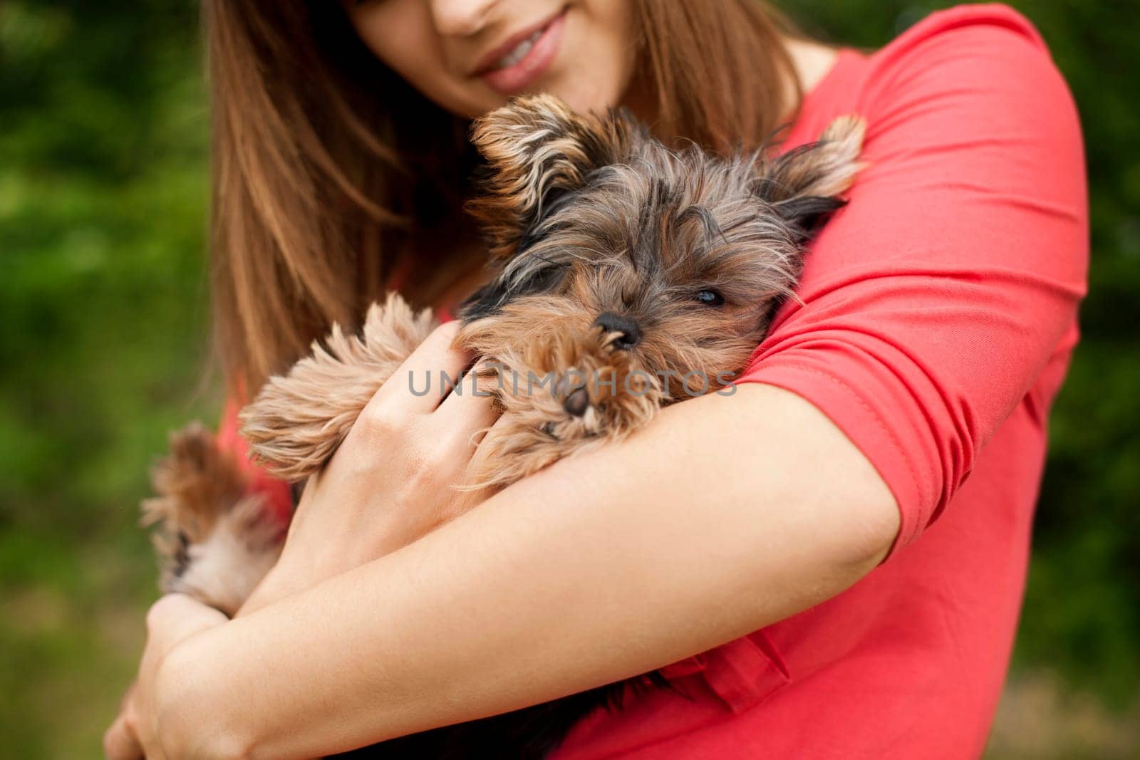 Cute puppy on woman's arms