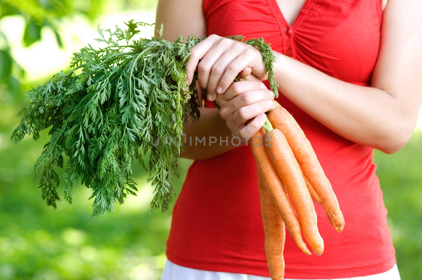 Carrots in hands