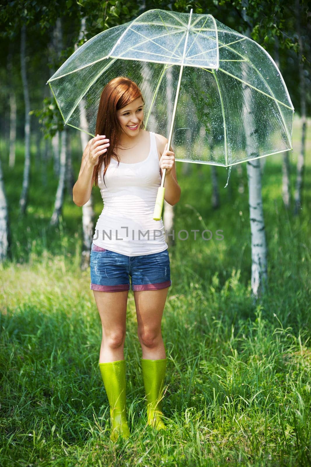 Summer rainy day in forest