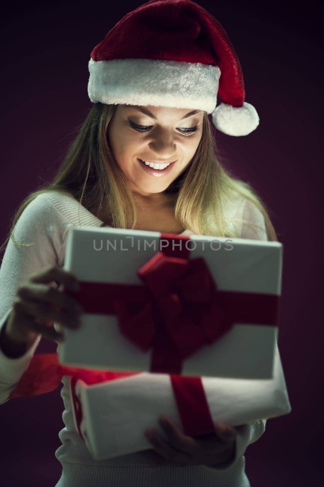 Christmas fairy