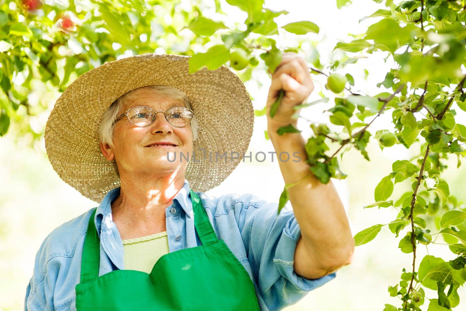 Portrait of senior woman