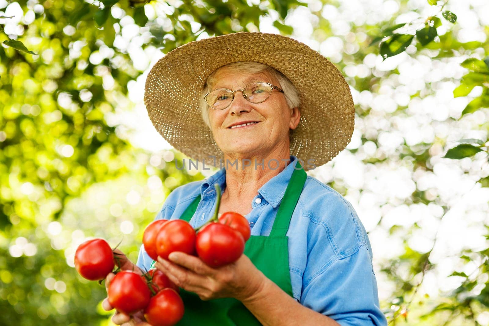 Senior woman with tomatoes