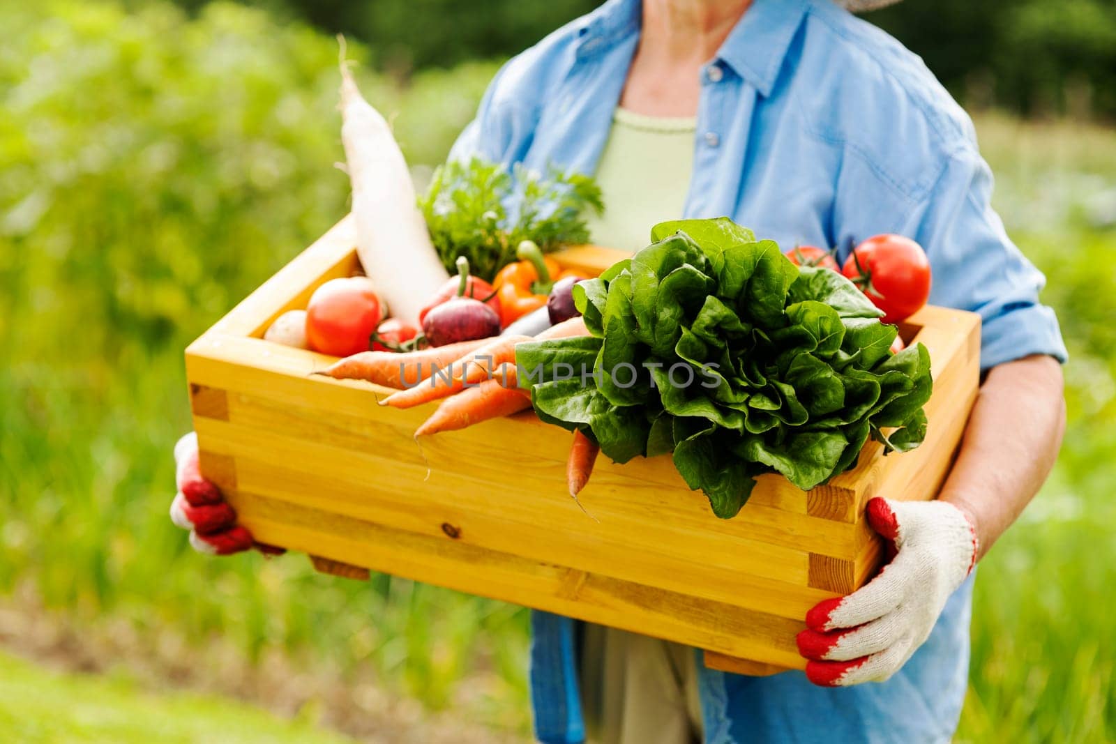 Senior woman holding box with vegetables