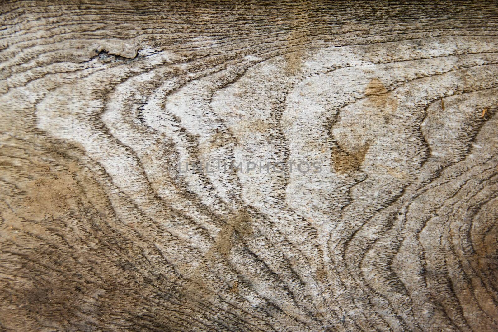 wood texture. Abstract background