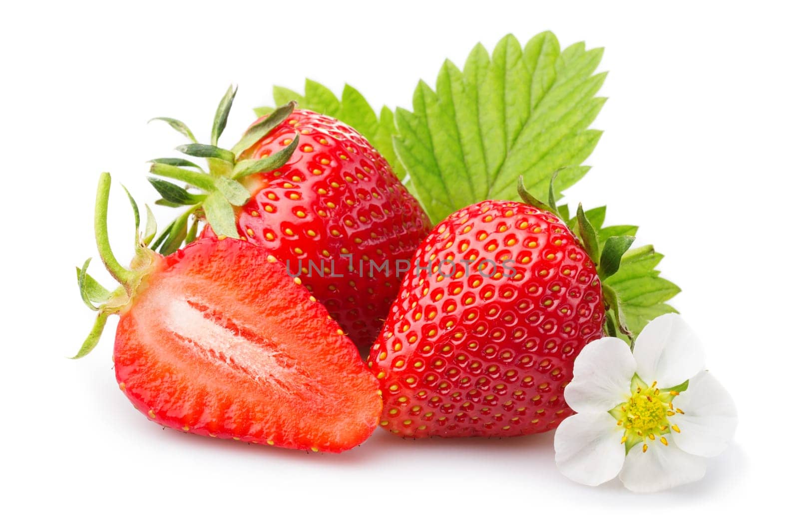 Strawberries with leaves and blossom. Isolated on a white background