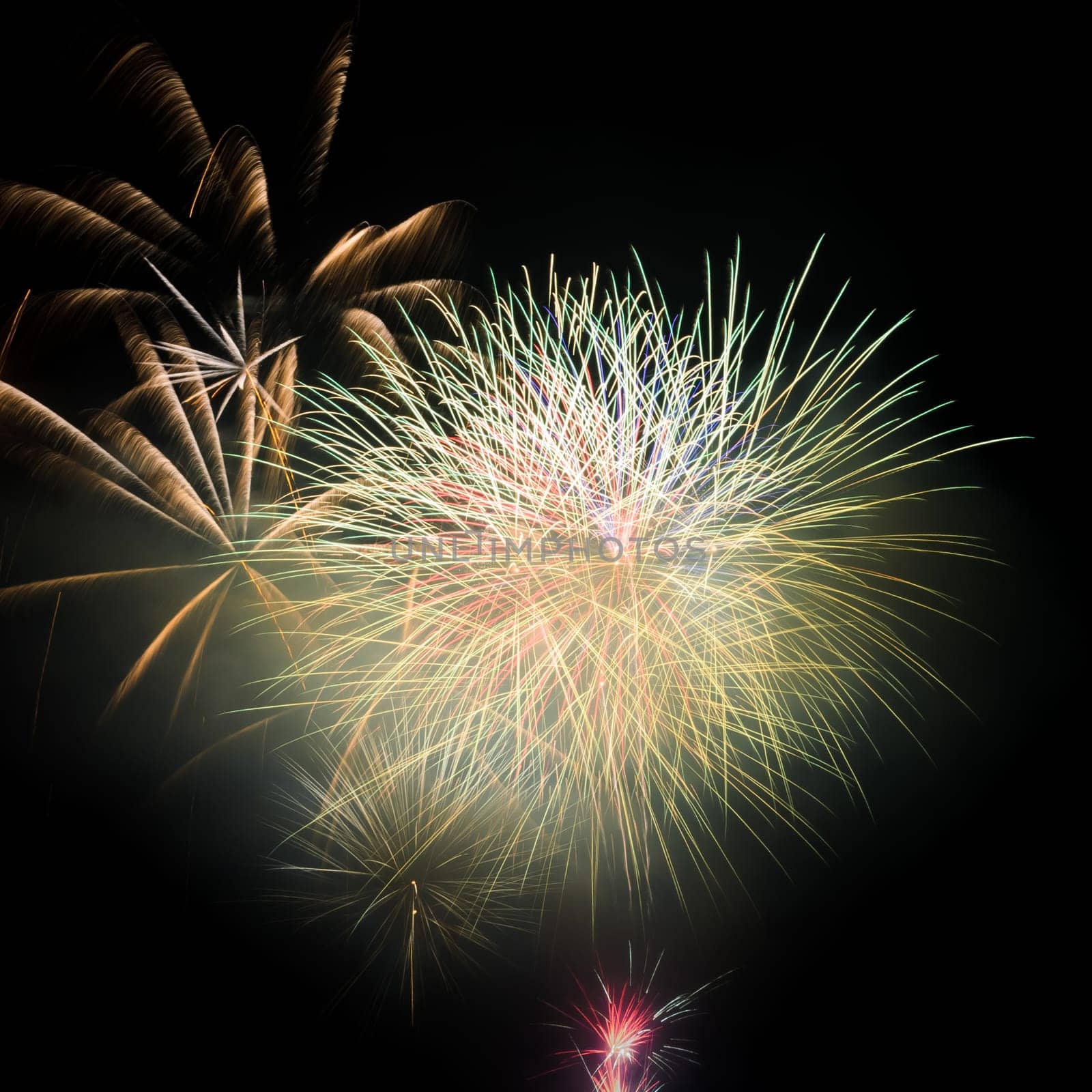 Colorful fireworks in the night sky