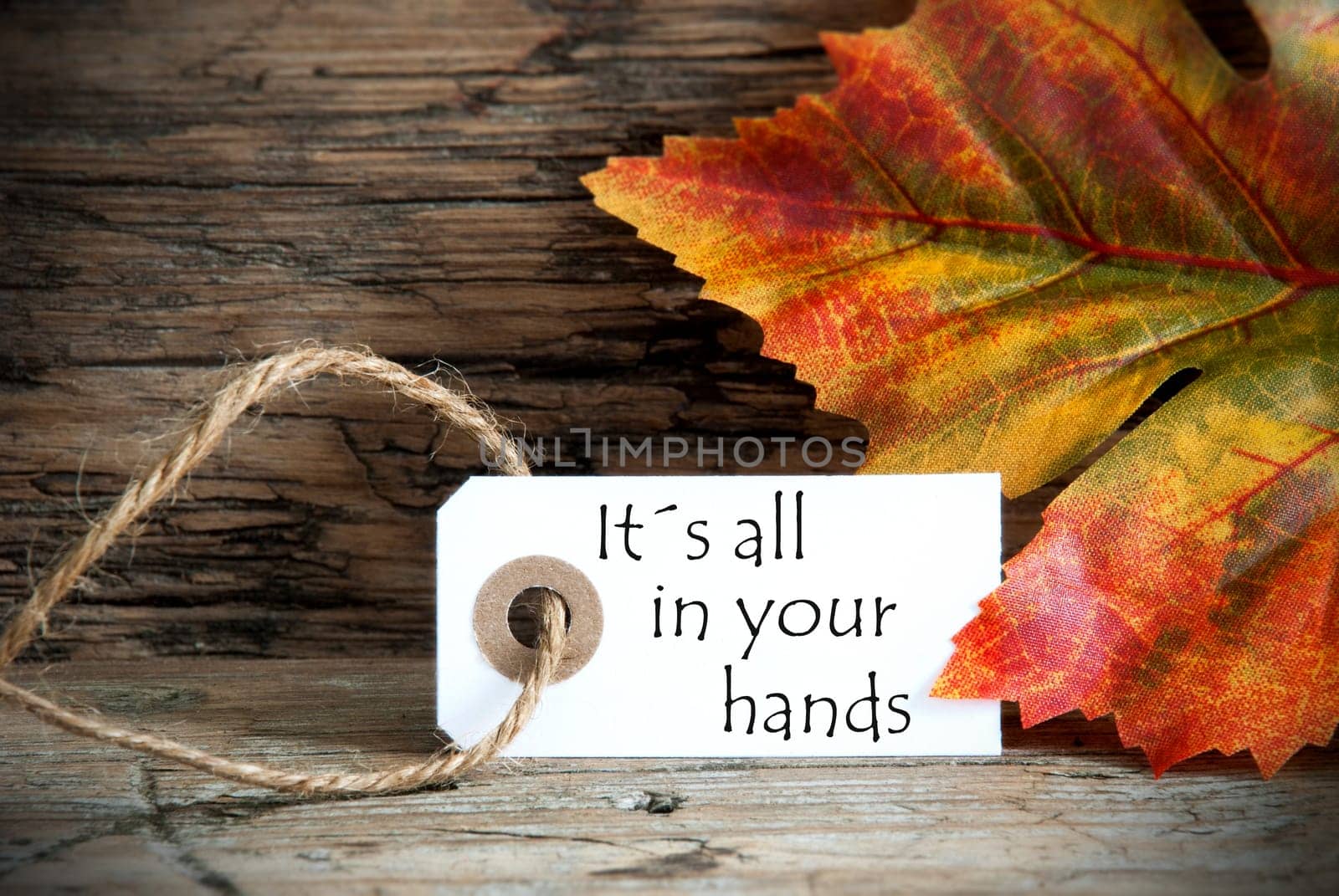 A Autumn Background with a Label on which stands Its all in your hands
