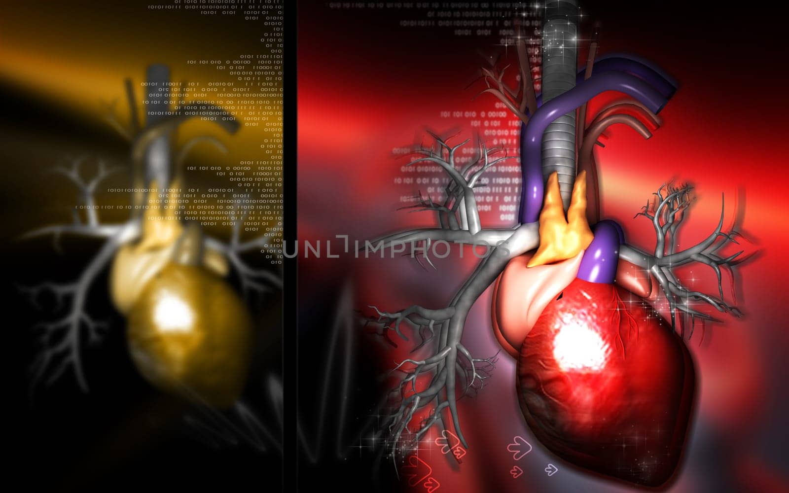 Digital illustration of heart in colour background