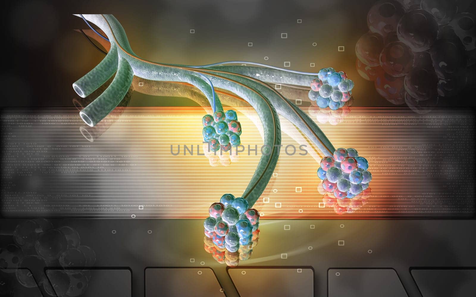 Digital illustration of alveoli in colour background
