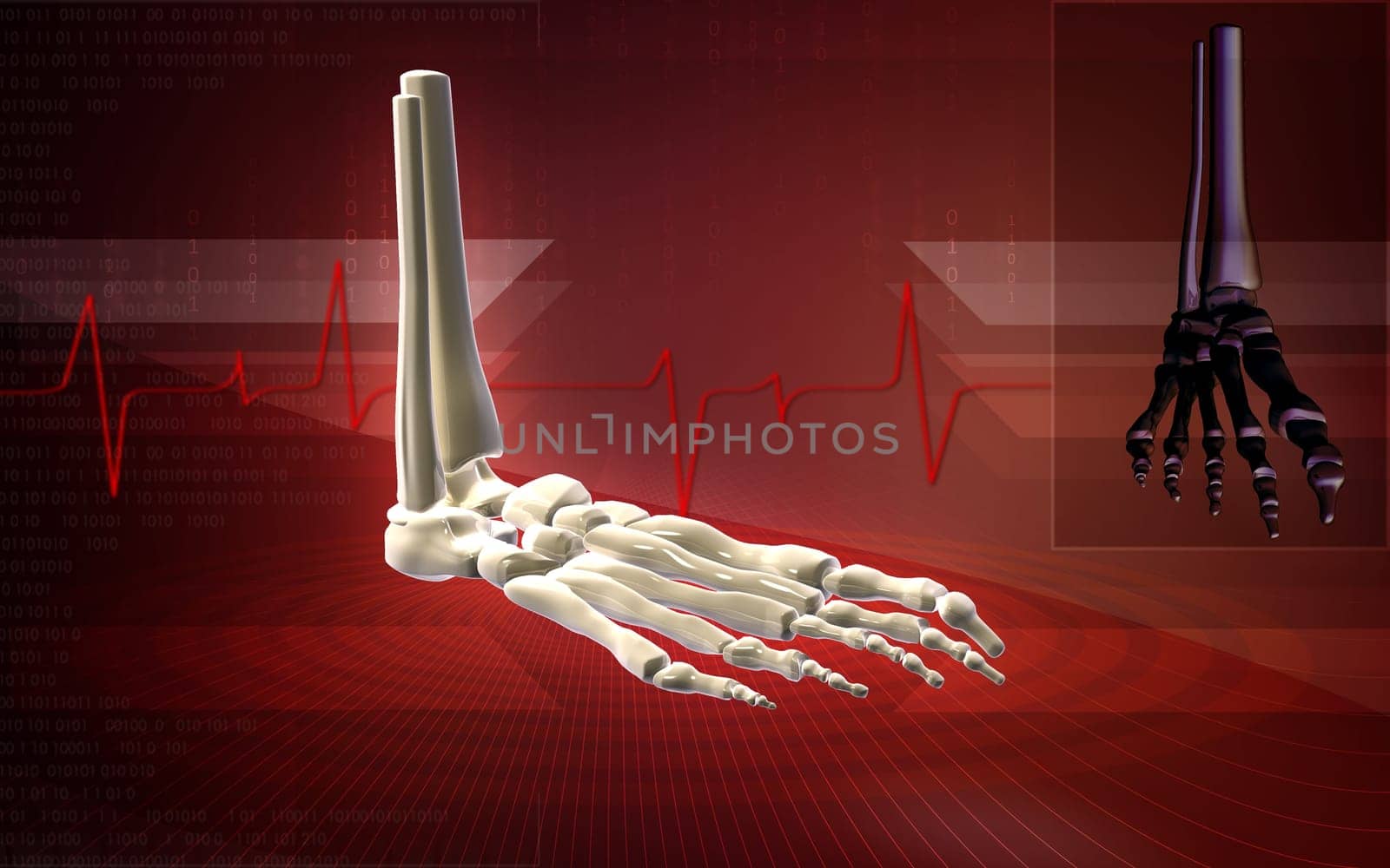 Digital illustration of Leg bone in colour background