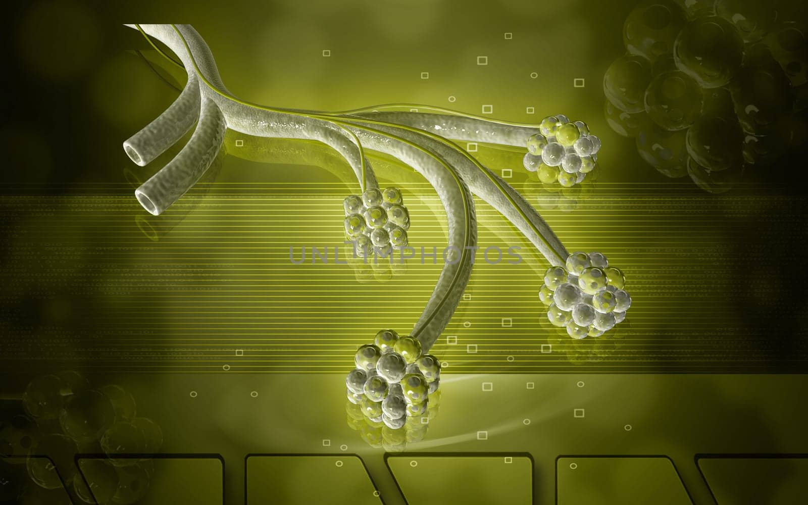 Digital illustration of alveoli in colour background