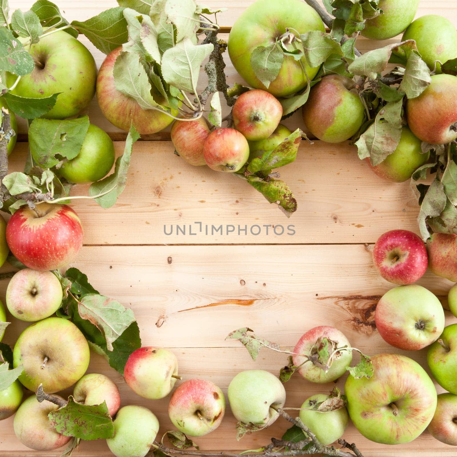 Various apple varieties with twigs and blaettes on wood