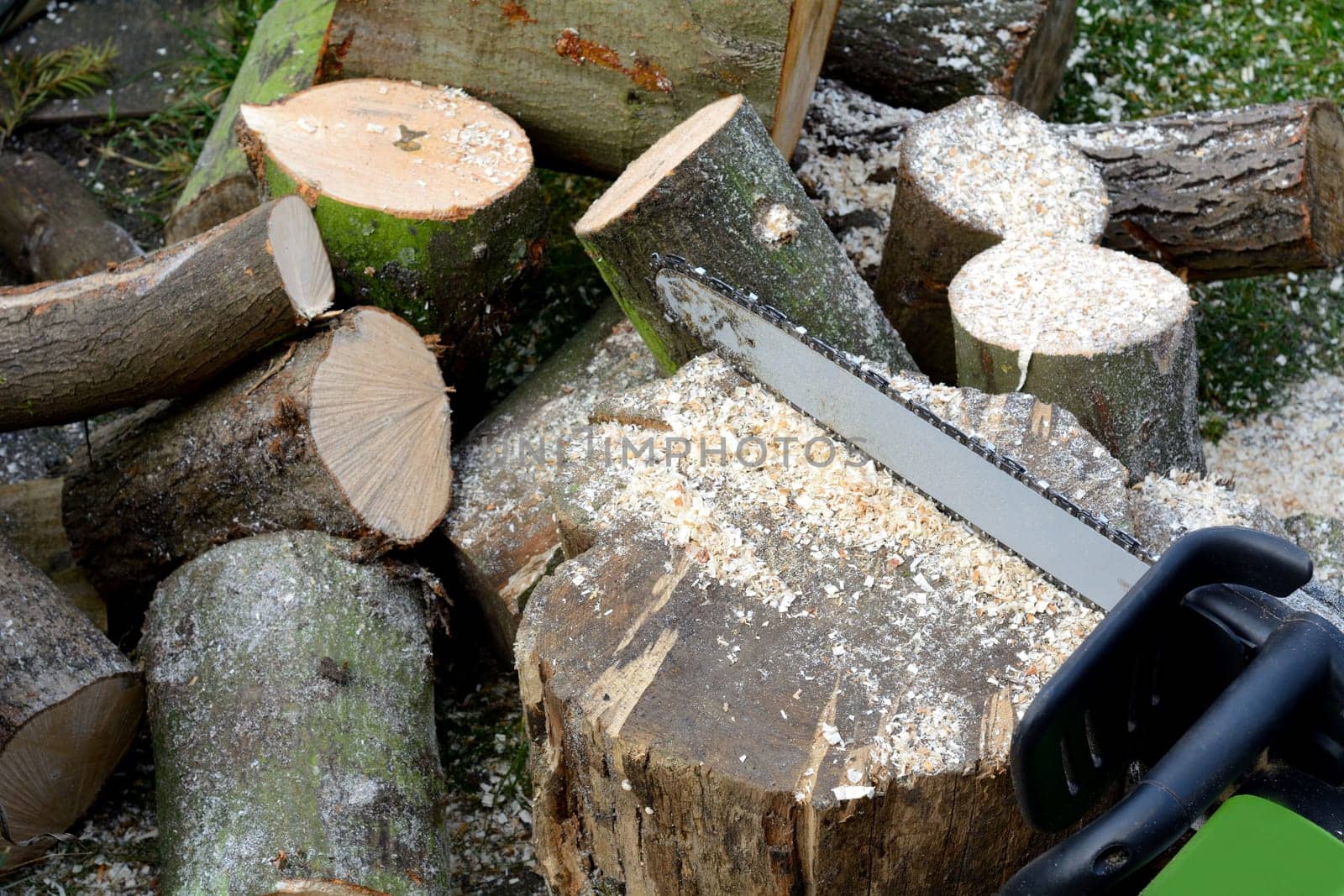 Firewood sawing with chainsaw