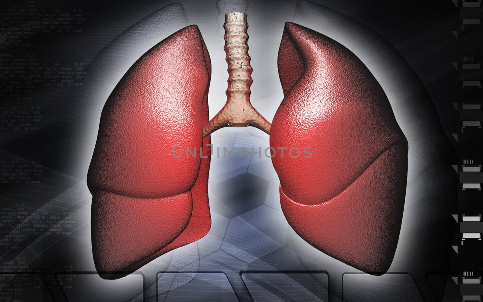 Digital illustration of human lungs in colour background