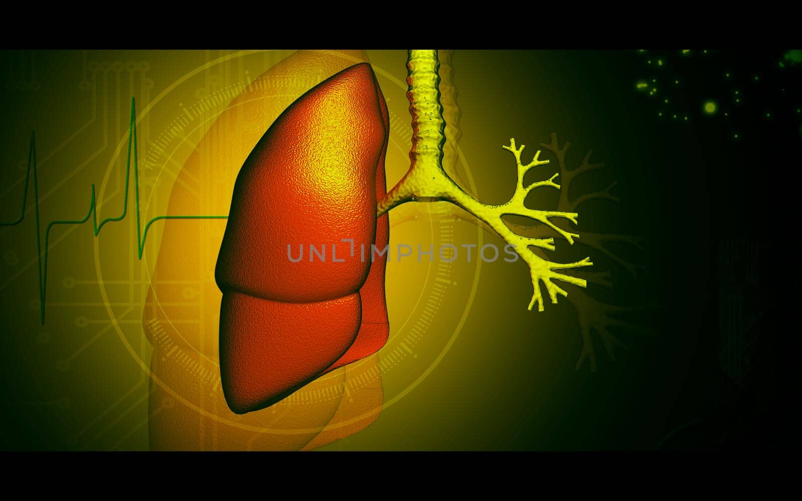 Digital illustration of human lungs in colour background