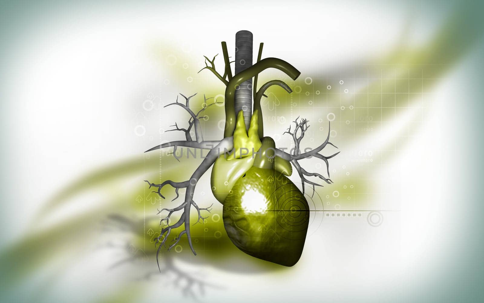 Digital illustration of heart in colour background
