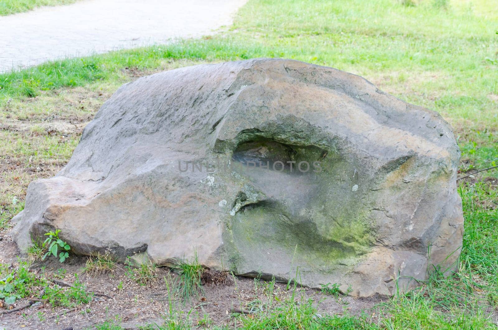 Snakes,reptiles head of stone,geological phenomenon formed by erosion.