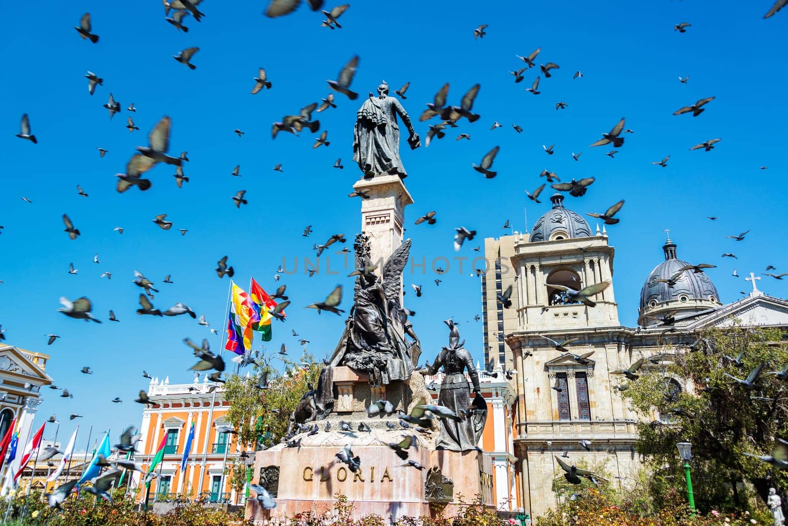 Pigeons flying around Plaza Murillo in La Paz, Bolivia