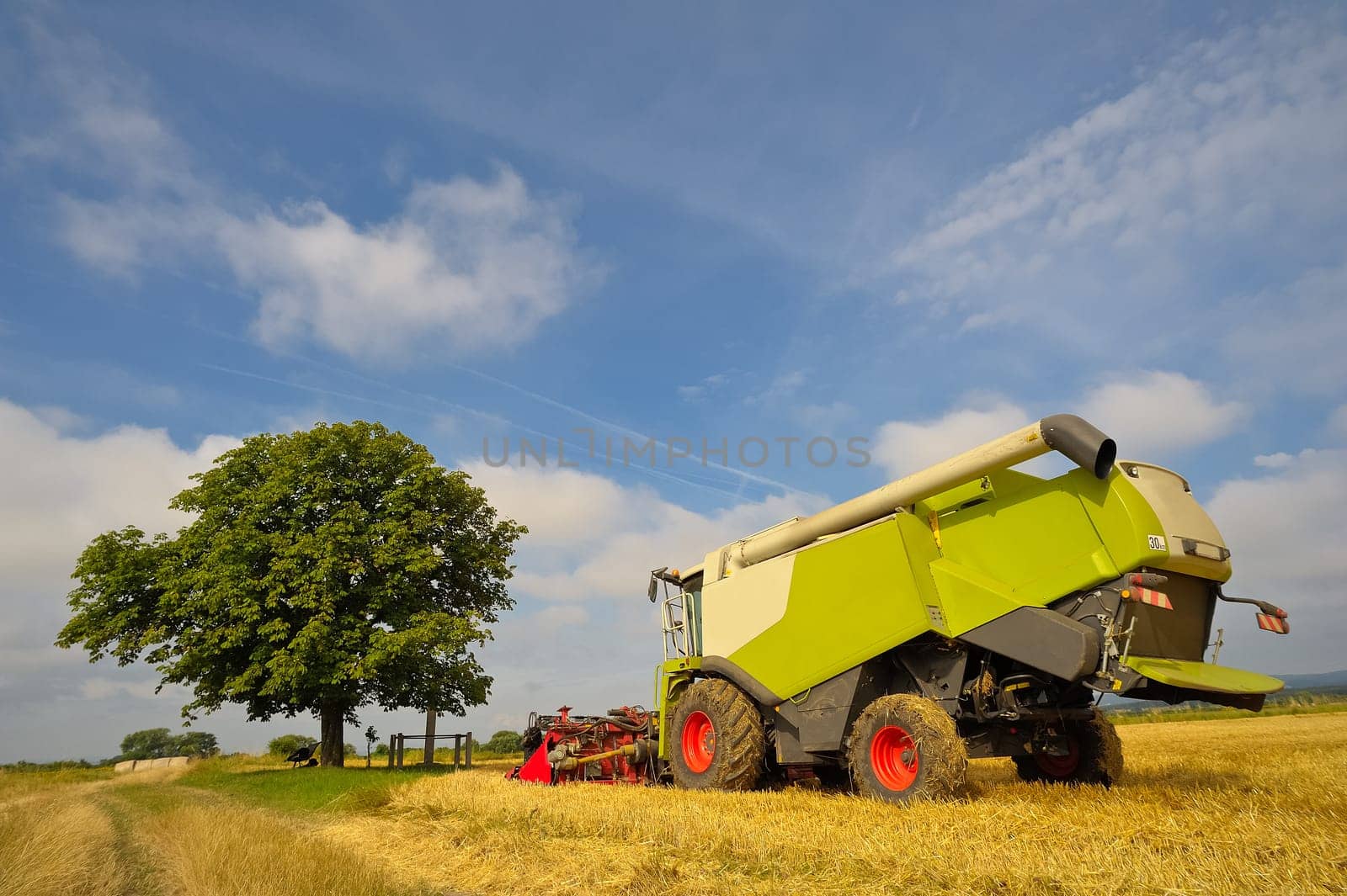 Green combine harvester at harvest