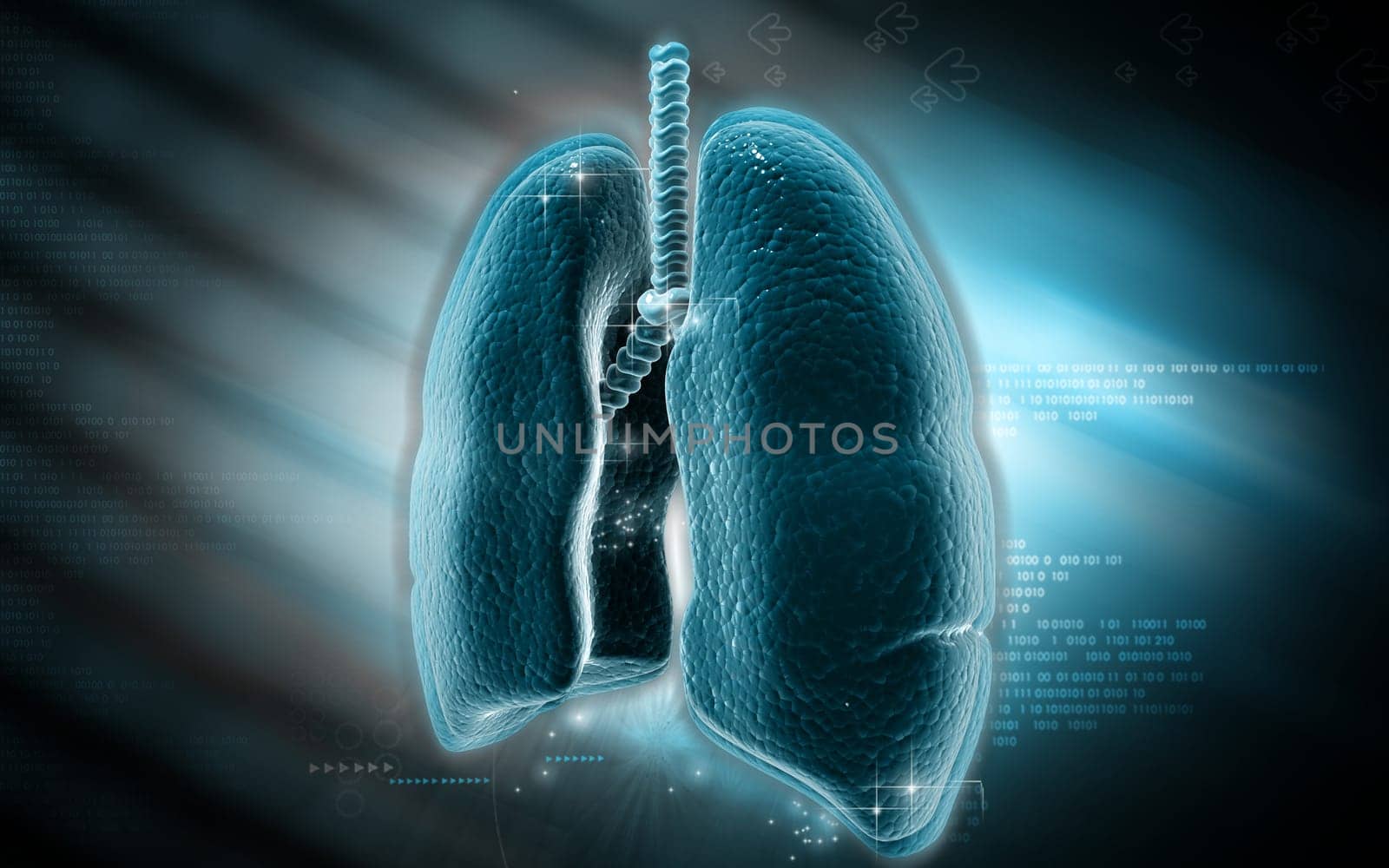 Digital illustration of human lungs in colour background