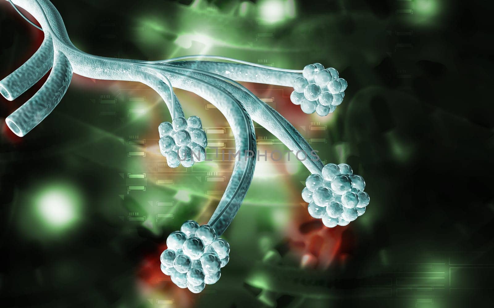 Digital illustration of alveoli in colour background