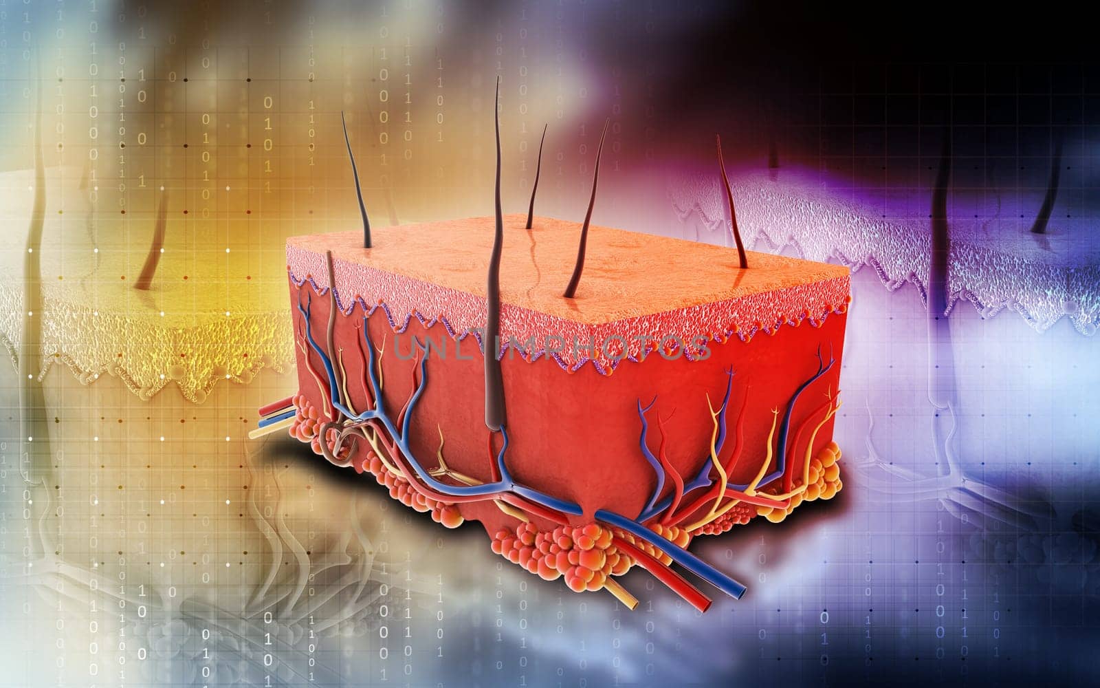 Digital illustration of Skin in colour background